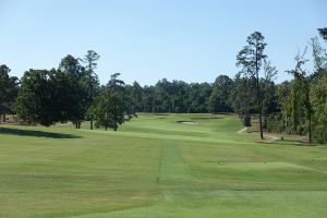 Augusta CC 11th Tee